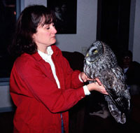 Laura holds a Great Gray Owl