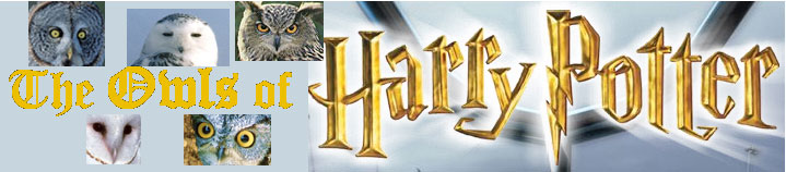 Owls of Harry Potter banner