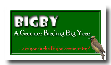 BIGBY--the Big Green Big Year!