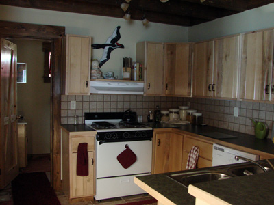 Kitchen with Jimmy the Ivory-billed Woodpecker