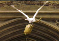 Hedwig carrying a Nimbus 2000 from movie